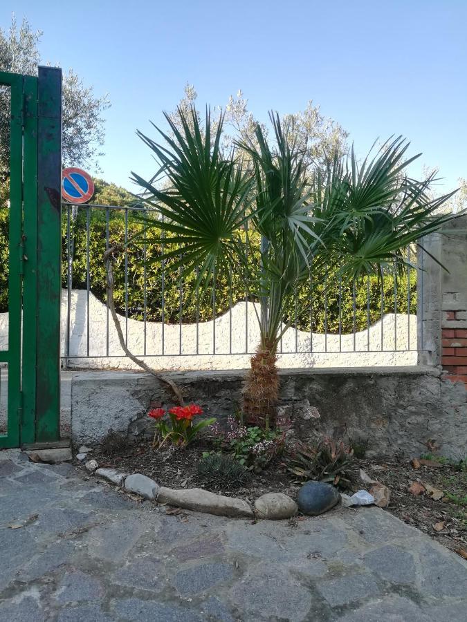 Casa San Giuseppe - Isola D'Elba Hotel Cavo Bagian luar foto