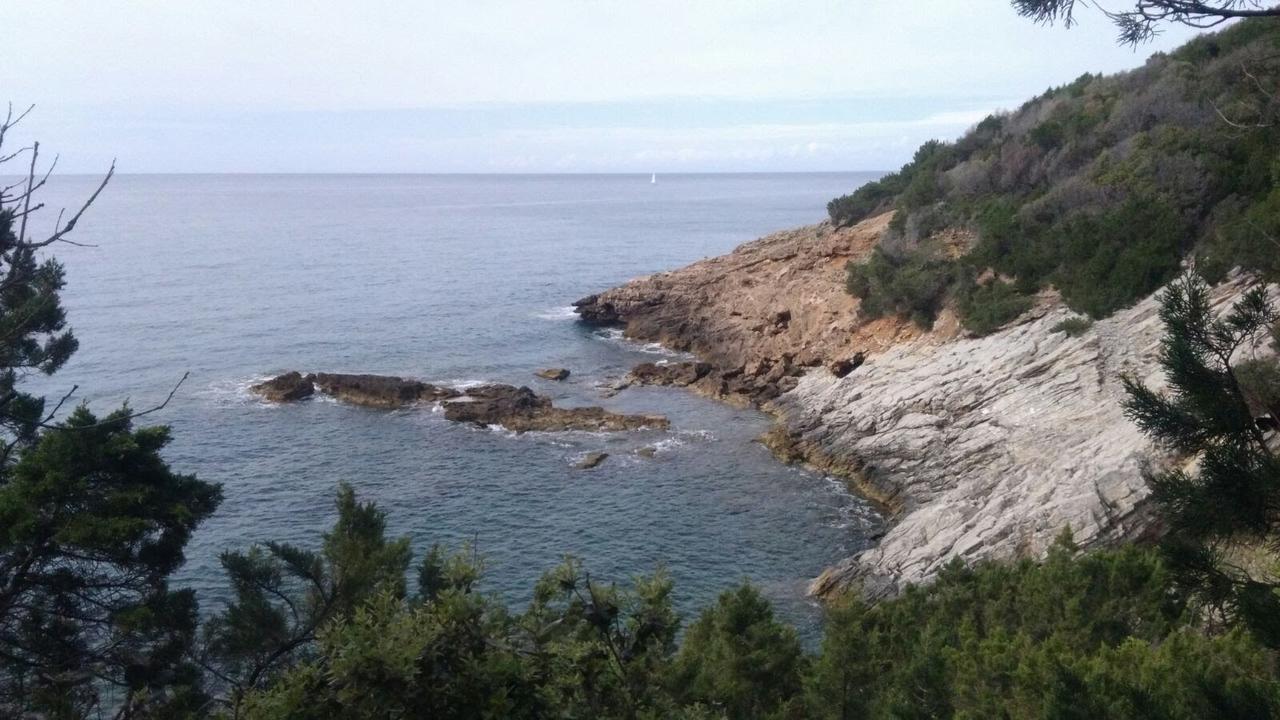 Casa San Giuseppe - Isola D'Elba Hotel Cavo Bagian luar foto